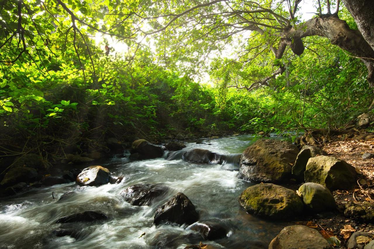 Rivertrees Country Inn Usa River Bagian luar foto